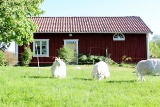 Klicka för att läsa annonsen