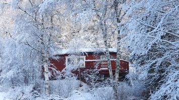 Swedish stuga - 'Björn' - beautifully situated