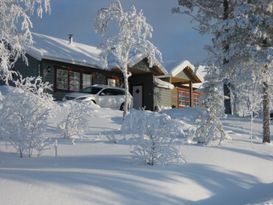 Lofsdalen - Fjällen på riktigt