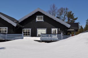 SALE - SÄLEN, Houses and Apartments