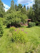 Cottage close to lake, in Roslagen, Rånäs Uppland