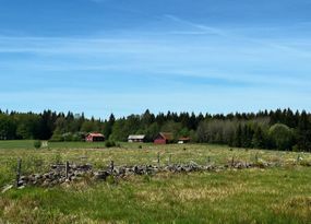 Lantligt belägen gård från sekelskiftet