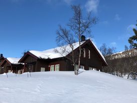 Mysigt parhus vid Buskvallen i Tänndalen