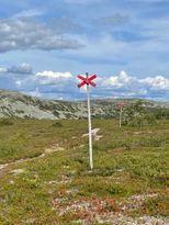 Sommar & höst i Vemdalen, naturen runt hörnet