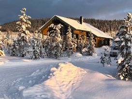 Well-equipped cozy mountain cabin, ski in-ski out