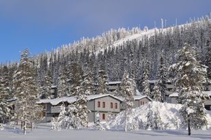 ANGEBOT - Aparments and Houses in SÄLEN